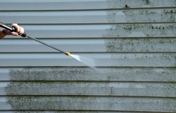 Best Dumpster Area Cleaning  in Duncan Falls, OH